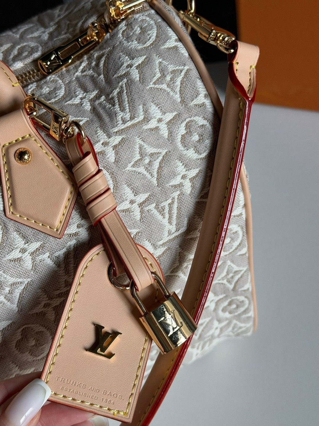 louis vuitton сумка,сумка женская louis vuitton,louis vuitton сумка на плечо,louis vuitton speedy,louis vuitton сумка для ручной клади
