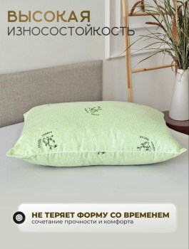 Одежда