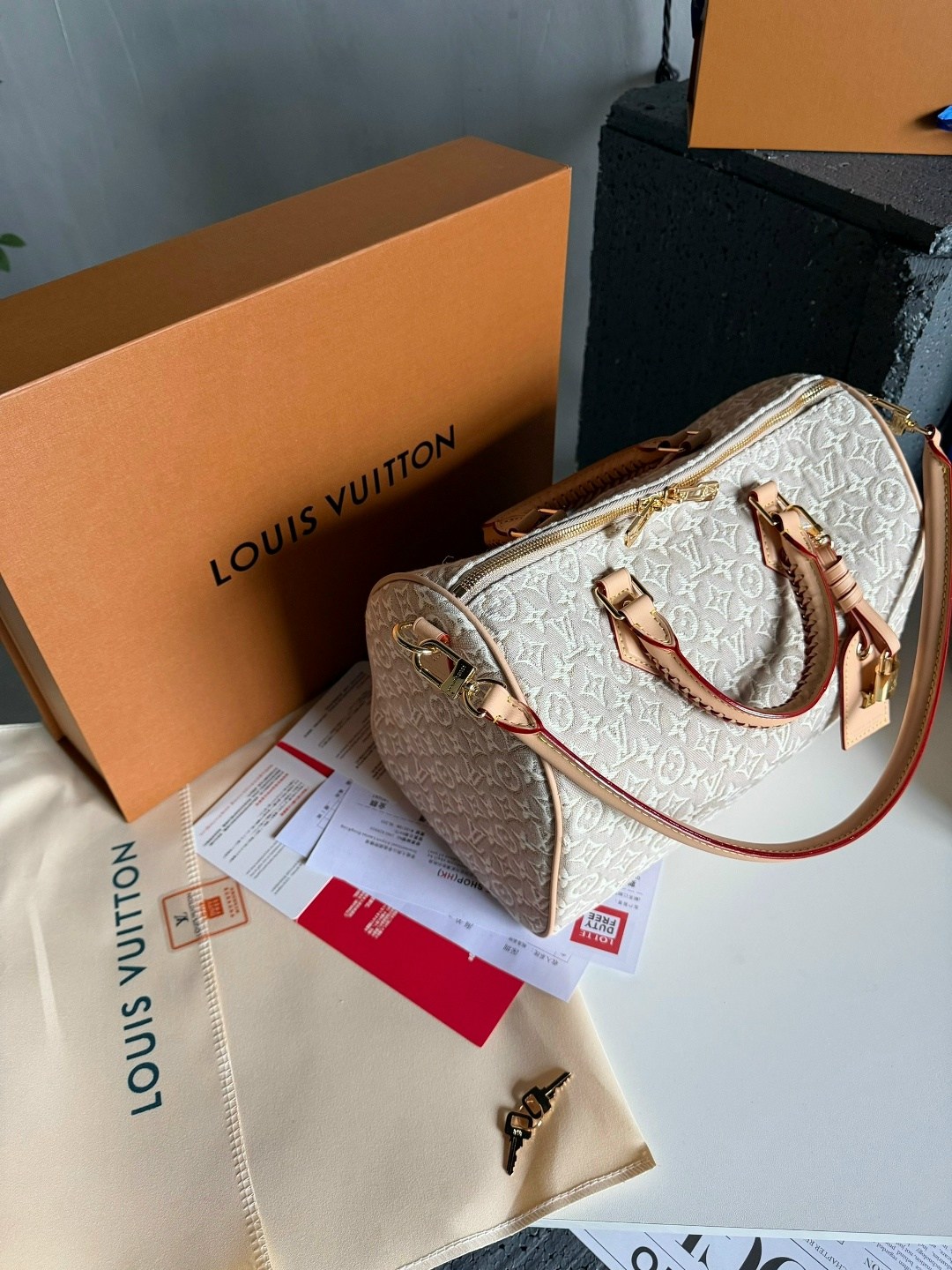 louis vuitton сумка,сумка женская louis vuitton,louis vuitton сумка на плечо,louis vuitton speedy,louis vuitton сумка для ручной клади