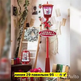 Одежда