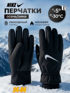 Одежда