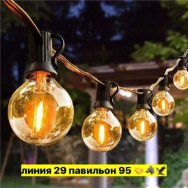 Одежда