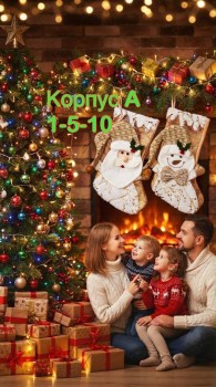 Одежда
