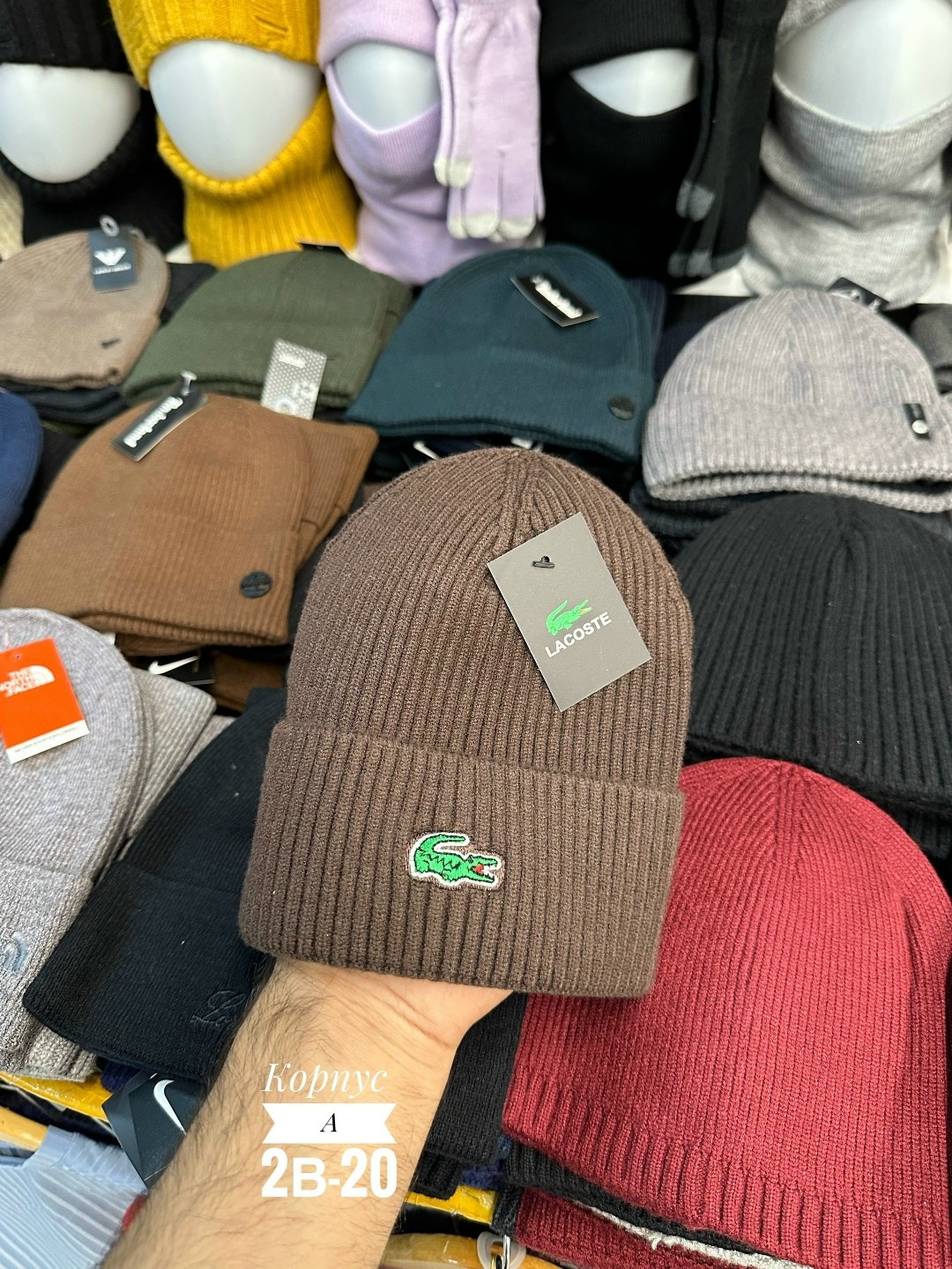 шапка бини lacoste,шапка lacoste,шапка бини,шапка бини унисекс lacoste th141010001 hacks,шапка мужская
