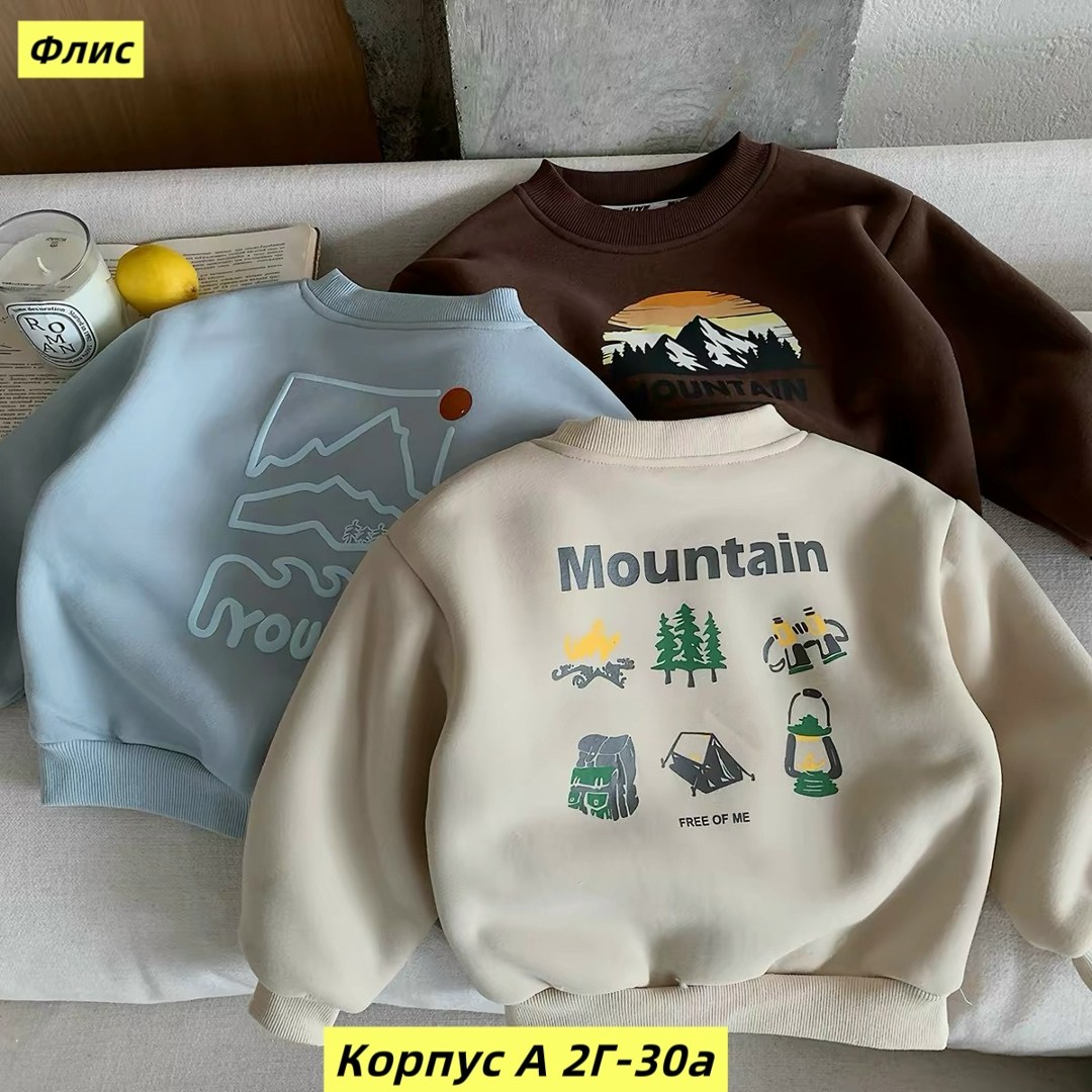 свитшот для малыша,свитшот для мальчика,детский свитшот,толстовка кофта,детская кофта