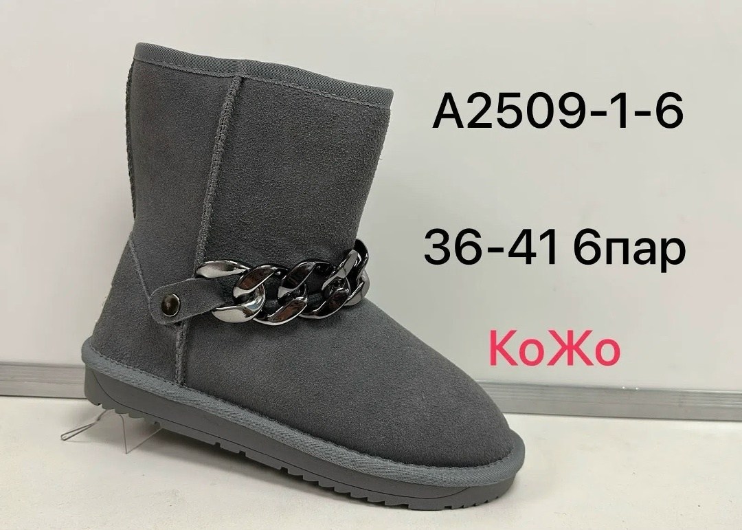 женские угги,,зимняя женская ,сапоги зимние женские,женские угги ugg