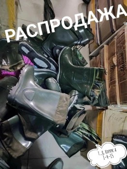Сапоги