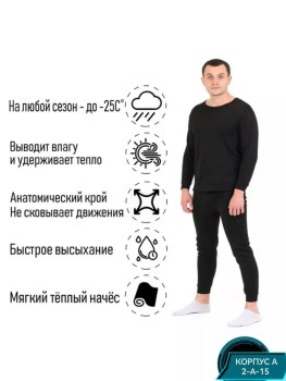 Одежда