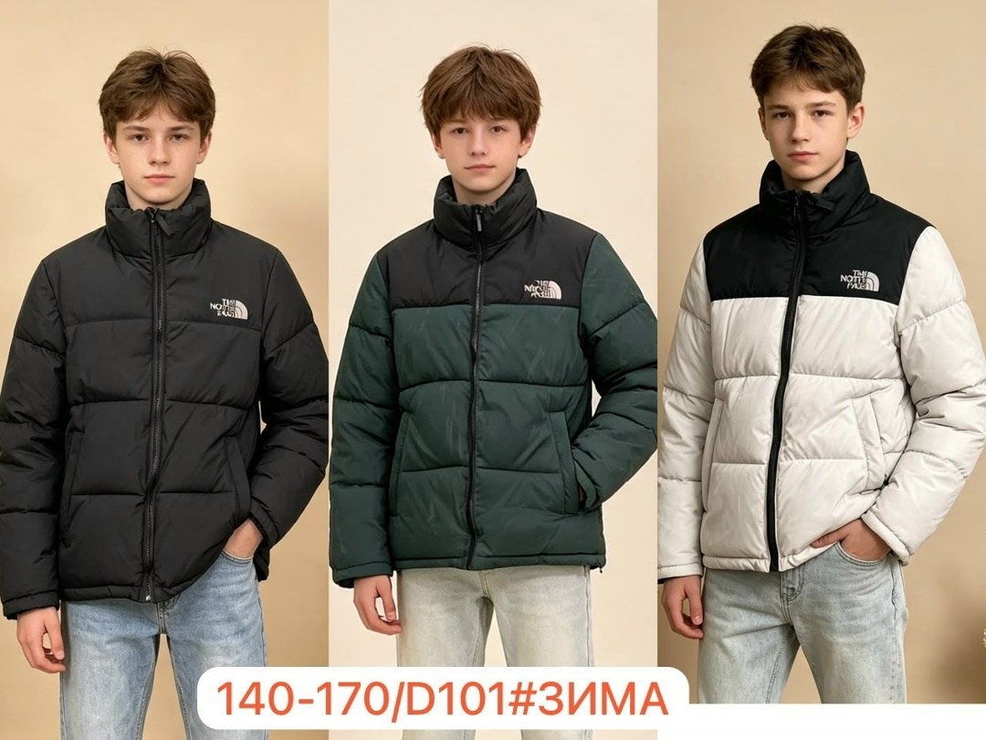 зимняя куртка the north face,куртка north face,зимняя куртка,the north face пуховик,пуховик куртка
