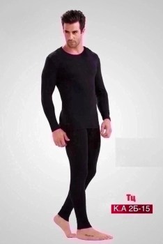 Одежда