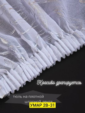 Одежда