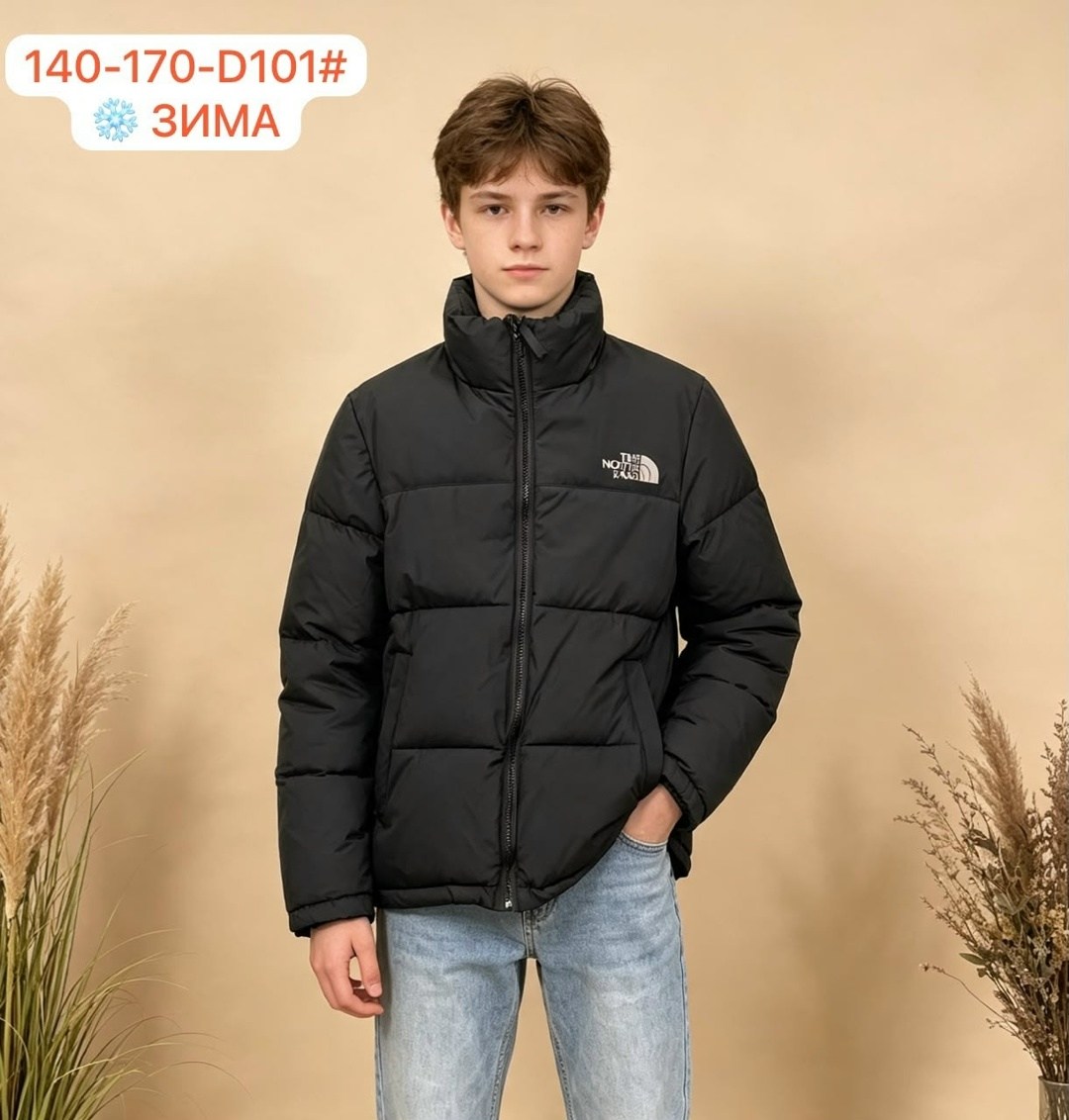 зимняя куртка the north face,куртка north face,зимняя куртка,the north face пуховик,пуховик куртка