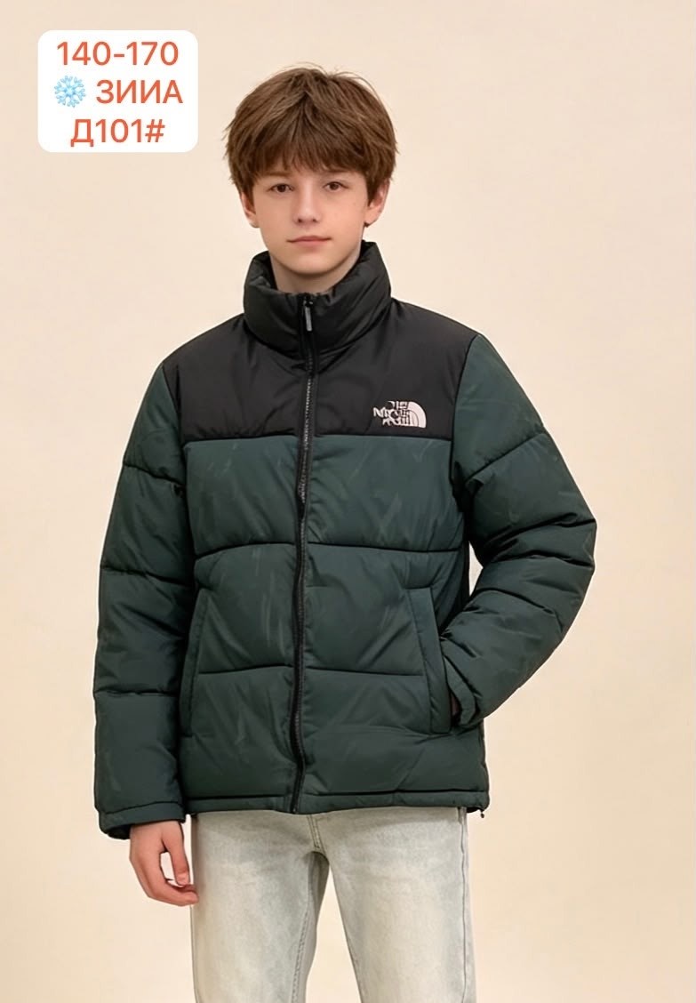 зимняя куртка the north face,куртка north face,зимняя куртка,the north face пуховик,пуховик куртка