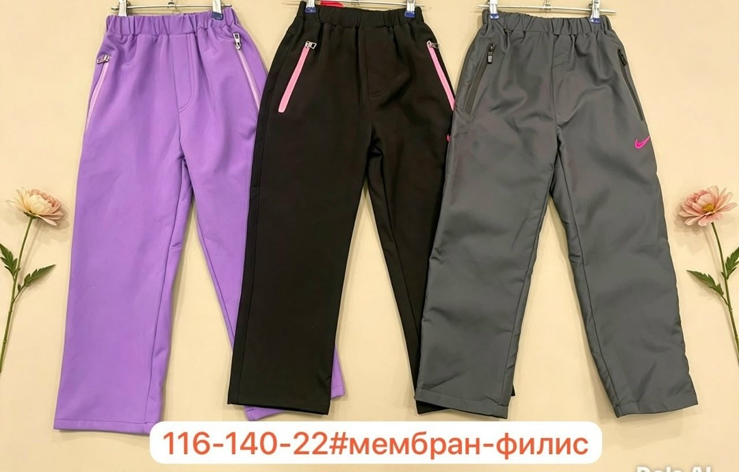 штаны демисезонные,штаны для мальчика,штаны зимние,штаны на флисе,болоневые штаны