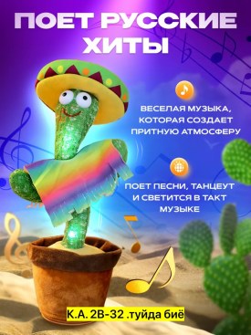 Одежда