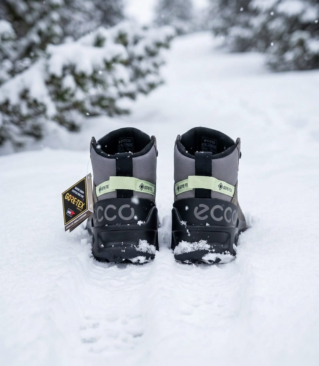 ботинки трекинговые ecco biom 2.1 x mountain w,зимние ботинки ecco,кроссовки ecco biom 2.0 m,ботинки мужские зимние ecco,ботинки трекинговые ecco