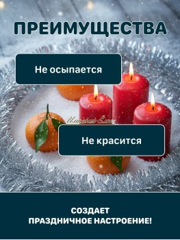 Одежда