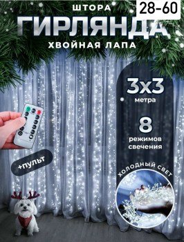 Одежда