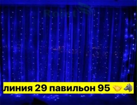 Одежда
