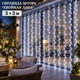 Одежда