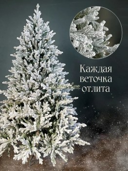 Одежда