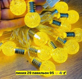 Одежда