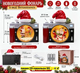 Одежда