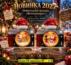 Одежда