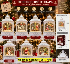 Одежда
