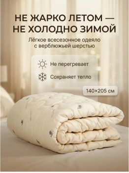 Одежда