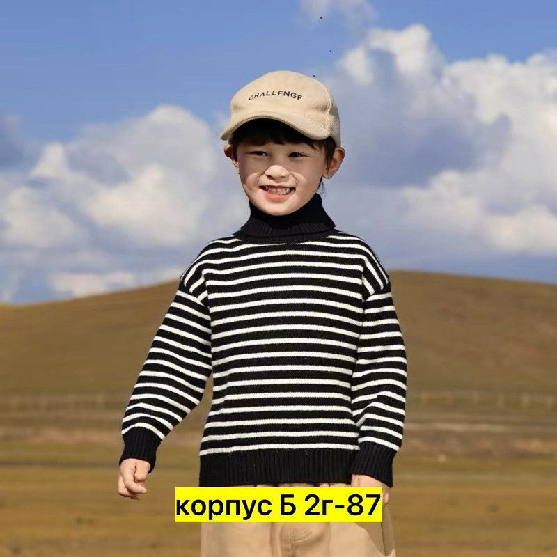 свитера для мальчик,свитера для детей,пуловер для мальчика,свитер,вязаная водолазка для мальчика