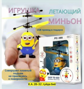 Одежда
