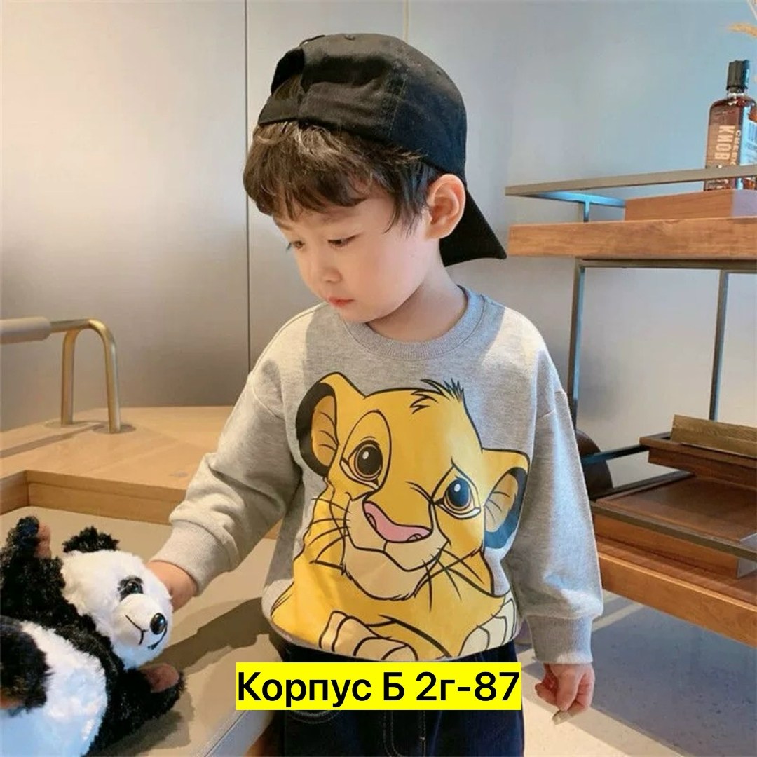 детский свитшот,свитера для мальчик,толстовка для мальчика,детская кофта,детский свитер
