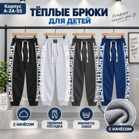 Штаны