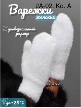 Одежда