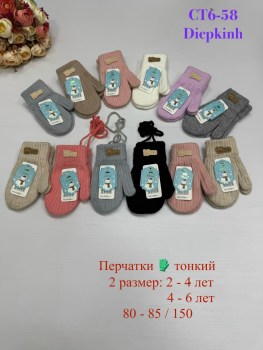 Одежда