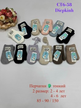 Одежда