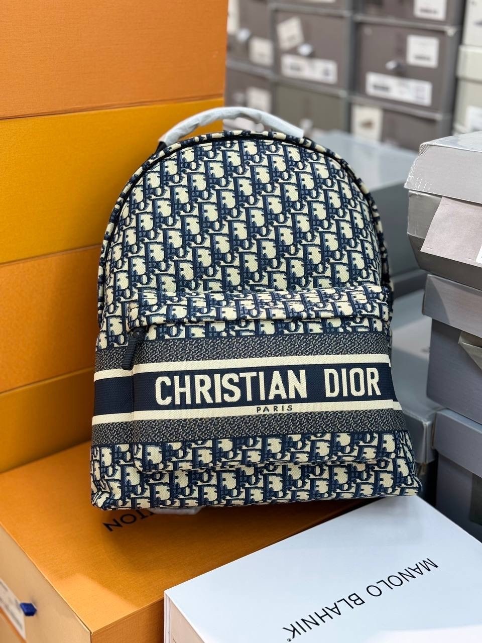dior рюкзак,рюкзак кристиан диор оригинал,рюкзак кристиан диор,рюкзак dior oblique,рюкзак диор