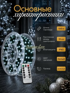 Одежда