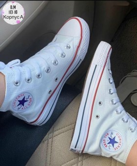 Одежда