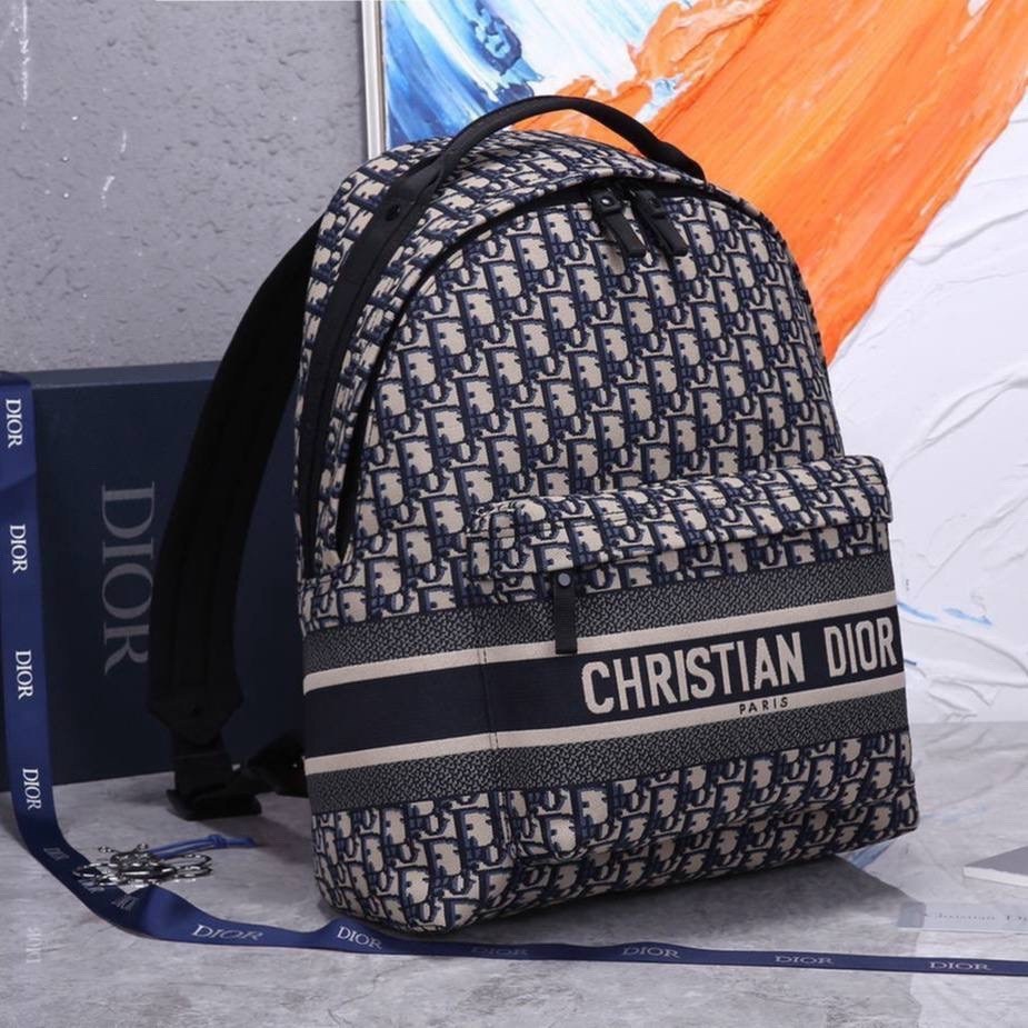 dior рюкзак,рюкзак кристиан диор оригинал,рюкзак кристиан диор,рюкзак dior oblique,рюкзак диор