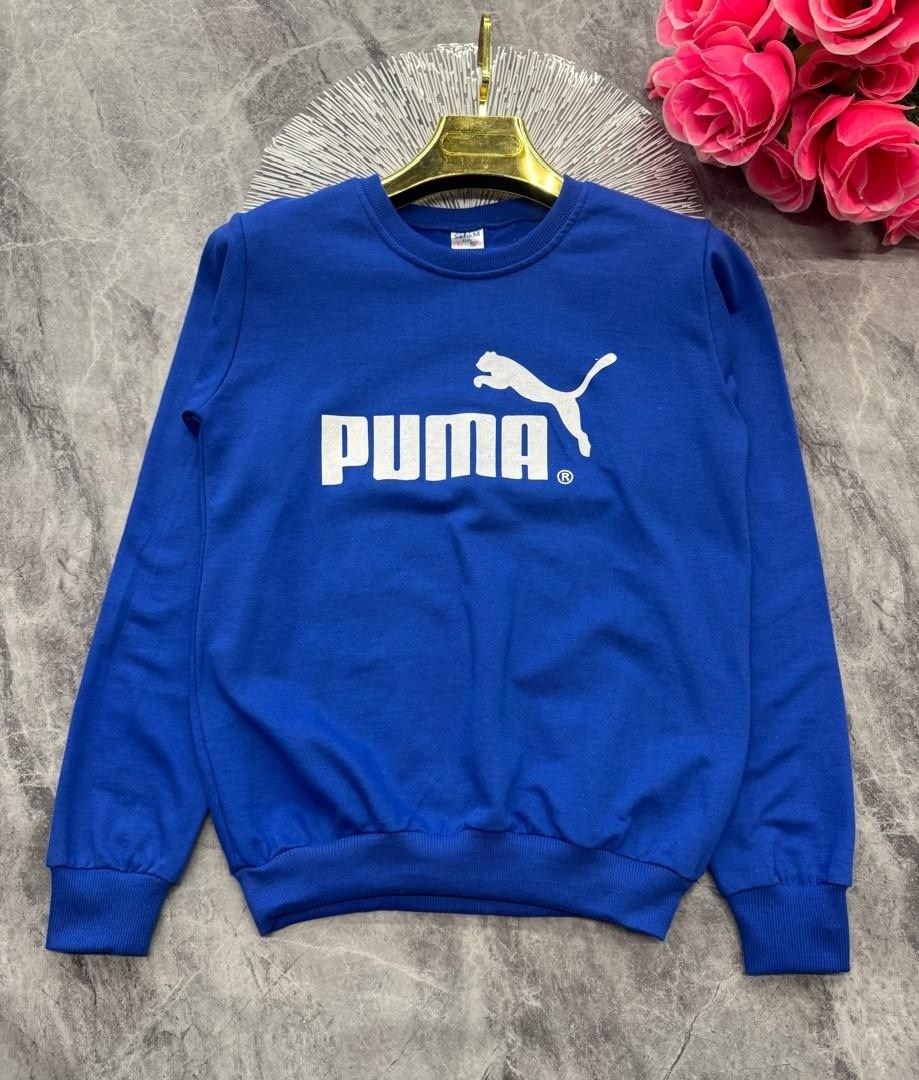 свитшот мужской puma,свитшот puma,свитшот пума мужской,толстовки свитшот,толстовка кофта