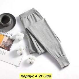 Штаны
