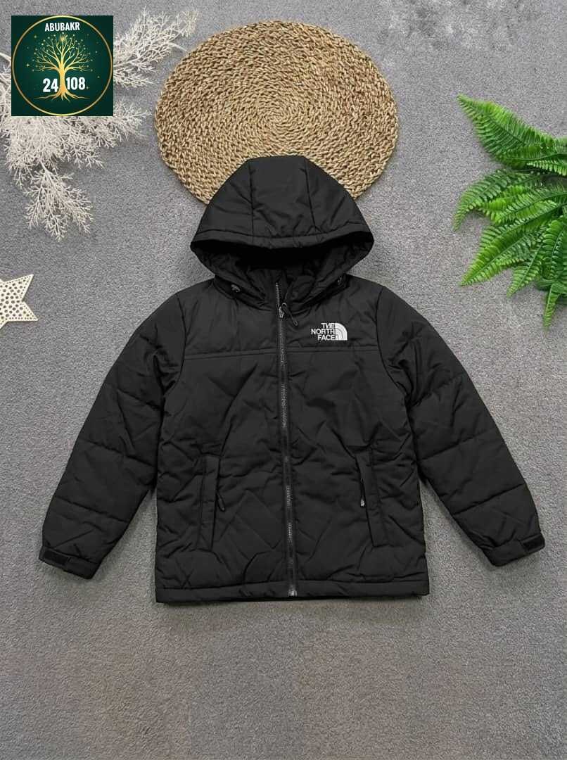 куртка демисезонная,зимняя куртка the north face,куртка the north face,зимняя куртка,куртка