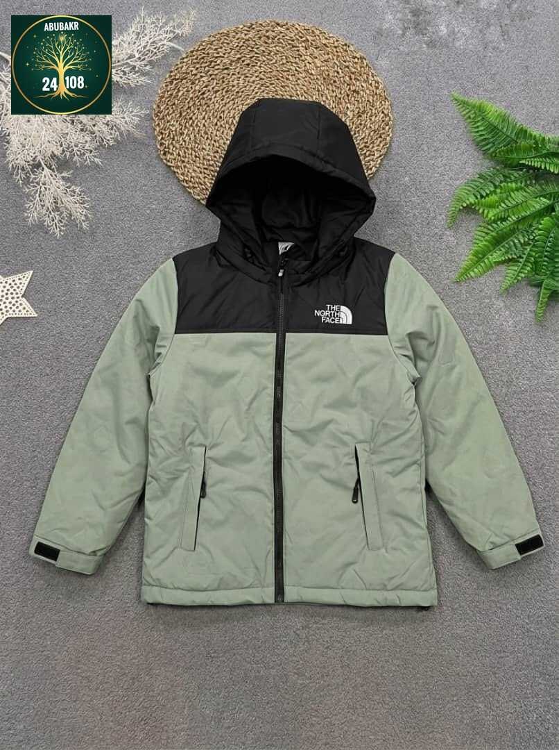 куртка демисезонная,зимняя куртка the north face,куртка the north face,зимняя куртка,куртка