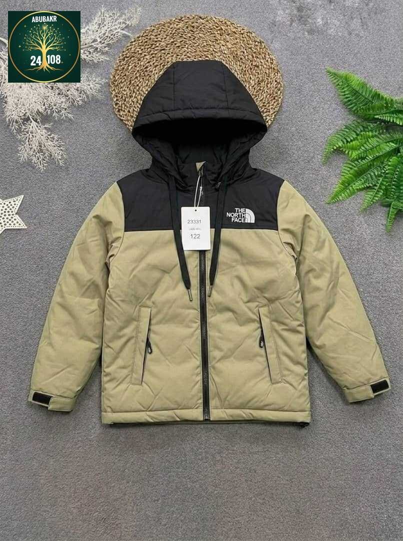 куртка демисезонная,зимняя куртка the north face,куртка the north face,зимняя куртка,куртка