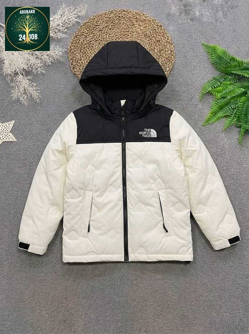 куртка демисезонная,зимняя куртка the north face,куртка the north face,зимняя куртка,куртка