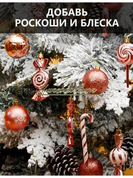 Одежда