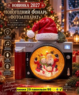 Одежда