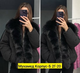 Верхняя одежда